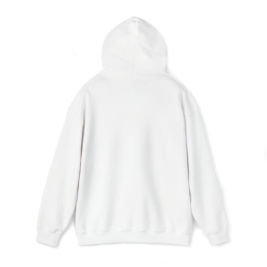 Unisex Heavy Blend™ Hooded Boarding Pass Sweatshirt