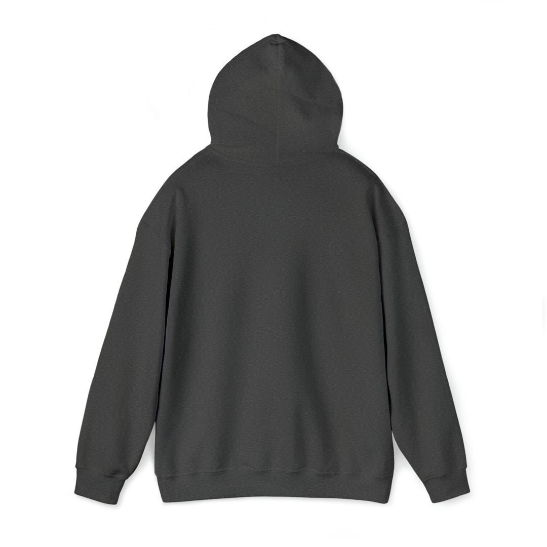 Unisex Heavy Blend™ Hooded Boarding Pass Sweatshirt